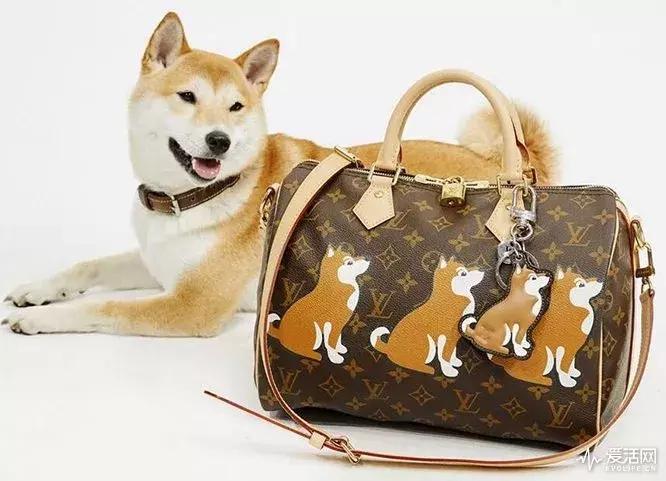 红双喜限定系列,红双喜限定八星