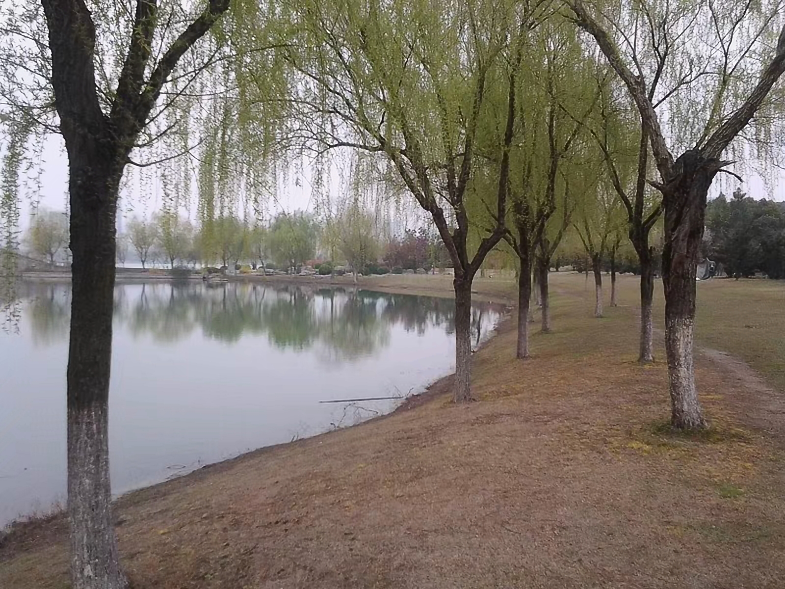 骑自行车环华旅行,骑单车长途旅行环中国一圈