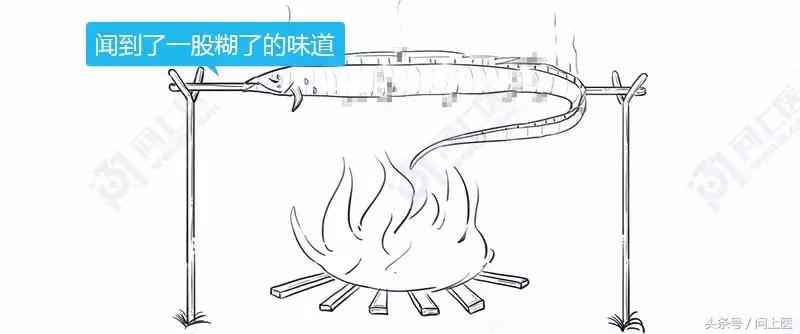 为什么别人的头发总是光滑柔顺你的却毛躁不堪？漫画教你如何护发