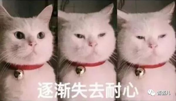 狗年招财转运,狗年转运大法