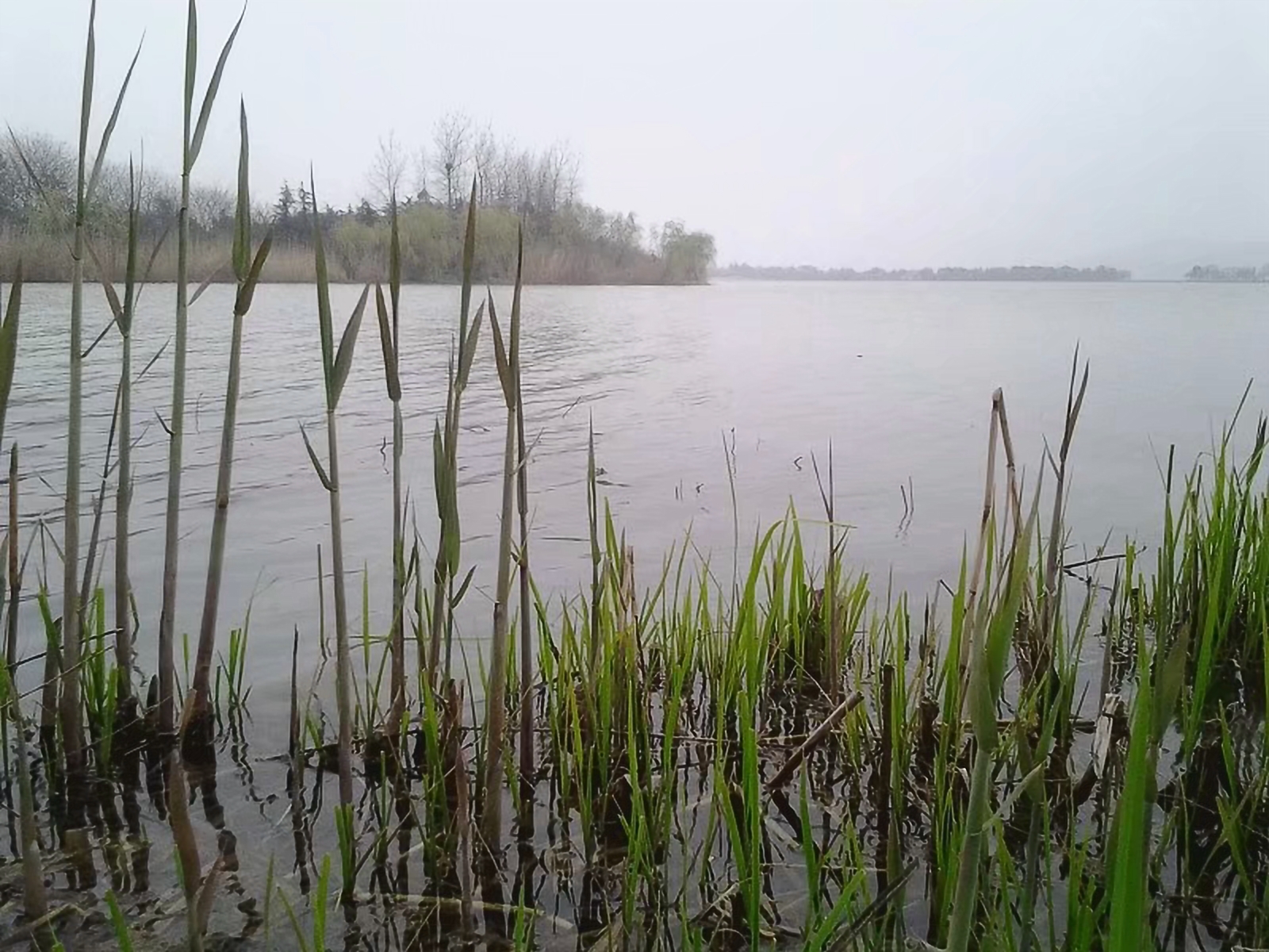 骑自行车环华旅行,骑单车长途旅行环中国一圈