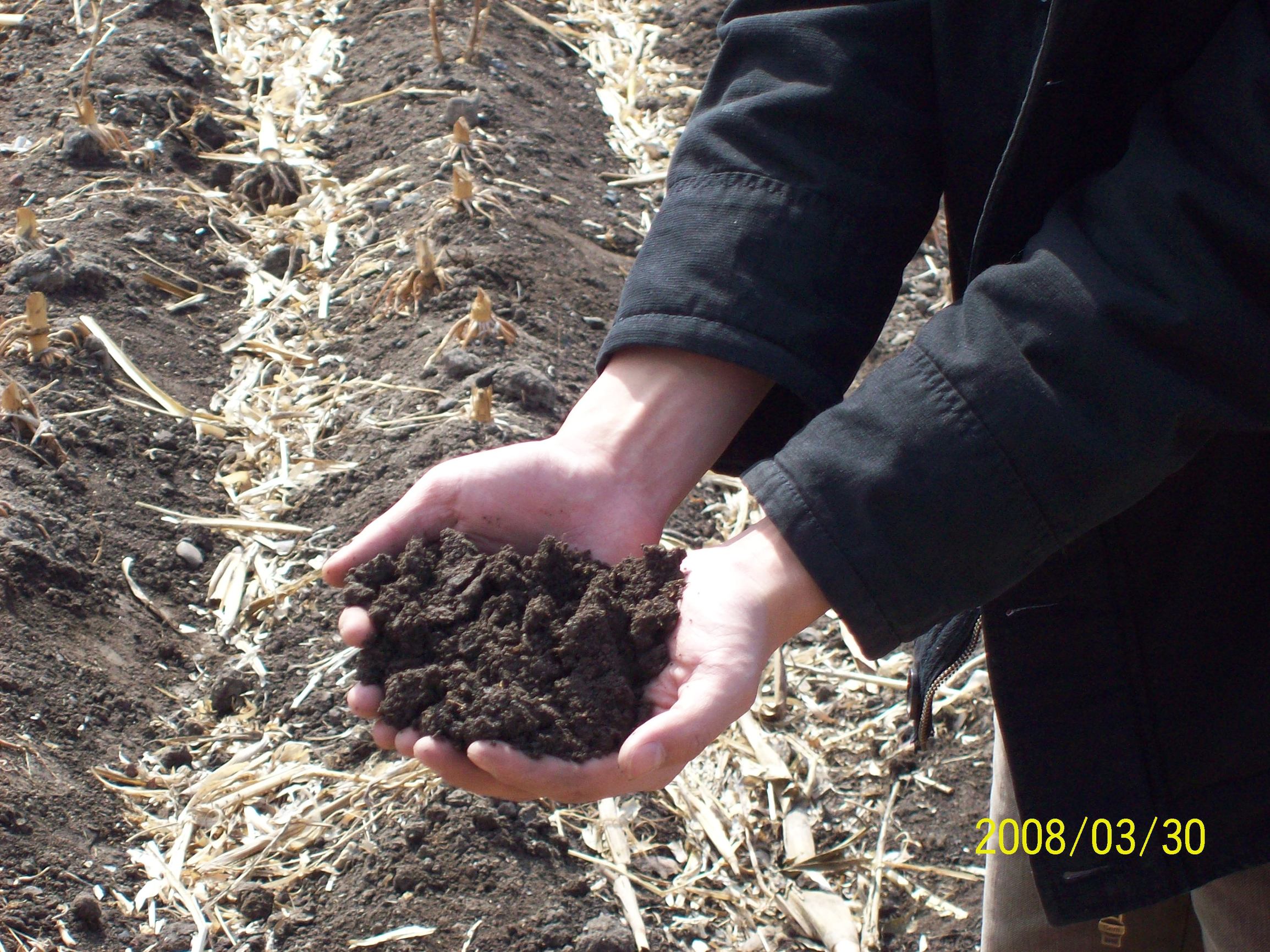 往事成烟---日本人三好武男先生和我的家乡北甸村