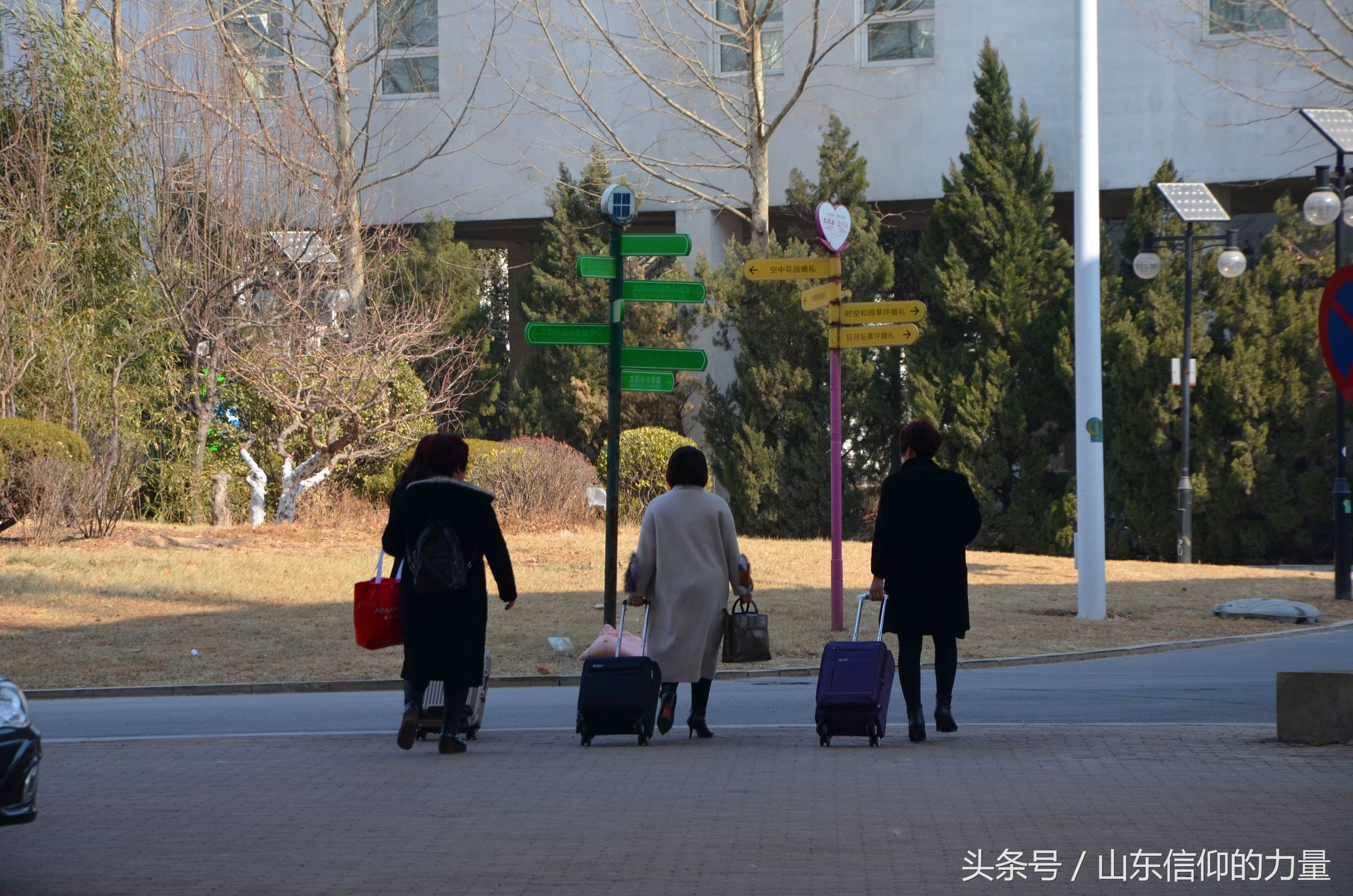 假期最后一天探访皇明集团总部所在的中国太阳谷