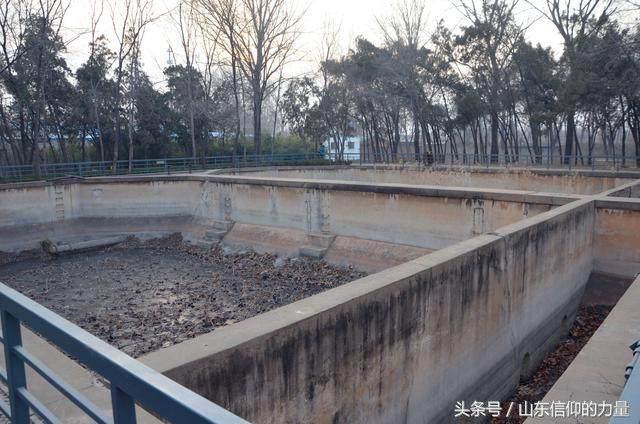 假期最后一天探访皇明集团总部所在的中国太阳谷