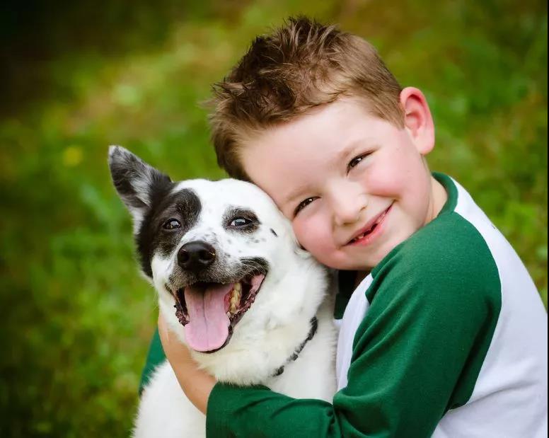 儿童疫苗必读知识,群体免疫与群体接种疫苗哪个有效