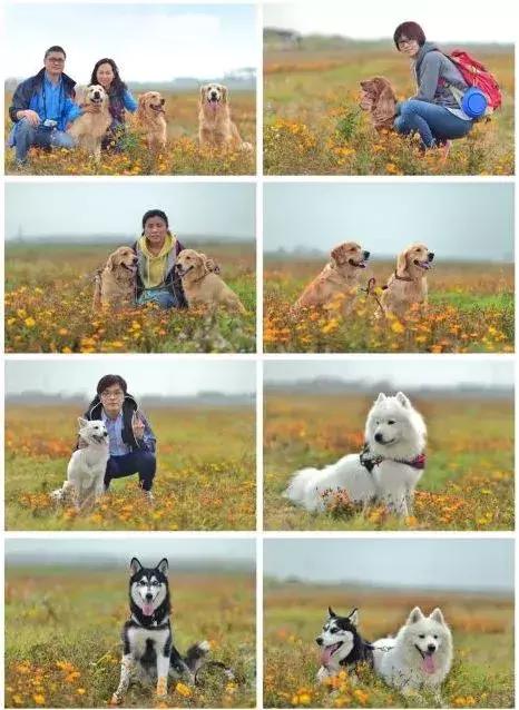 亲子游好去处！番禺周边的农家乐、游乐场、文化园…充实又好玩！