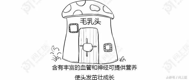 为什么别人的头发总是光滑柔顺你的却毛躁不堪？漫画教你如何护发