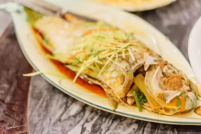 帕劳深度游出海,帕劳深潜体验