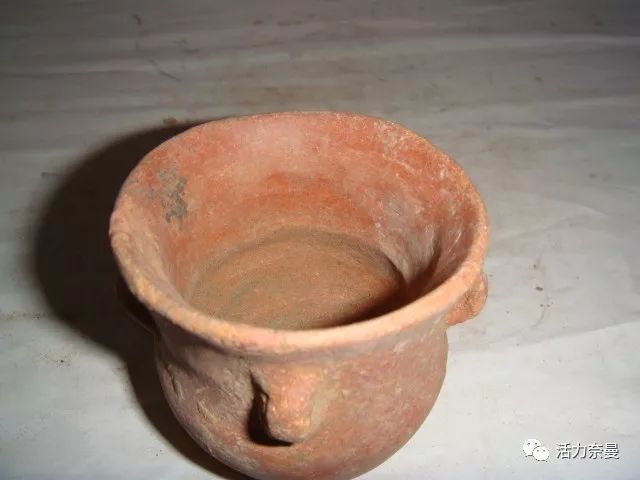 奈曼从哪儿来的,奈曼人真实身份