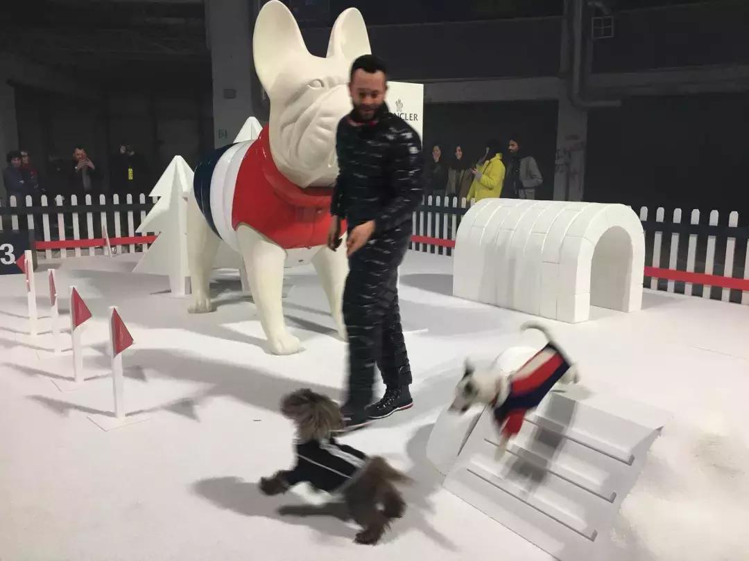 吐槽分裂人格,人格分裂吐槽