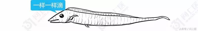 为什么别人的头发总是光滑柔顺你的却毛躁不堪？漫画教你如何护发