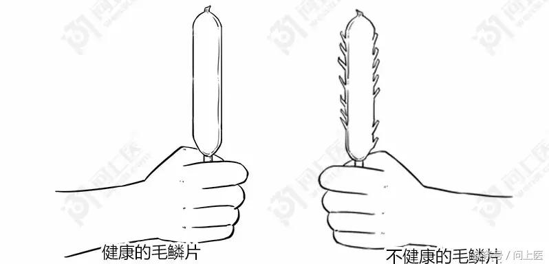 为什么别人的头发总是光滑柔顺你的却毛躁不堪？漫画教你如何护发