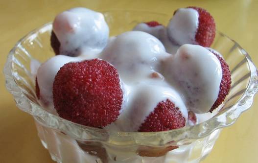 杨梅饮品做法,杨梅做法大全