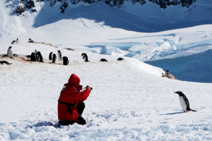 一家三口去南极旅行 (中国一家三口去南极旅游)