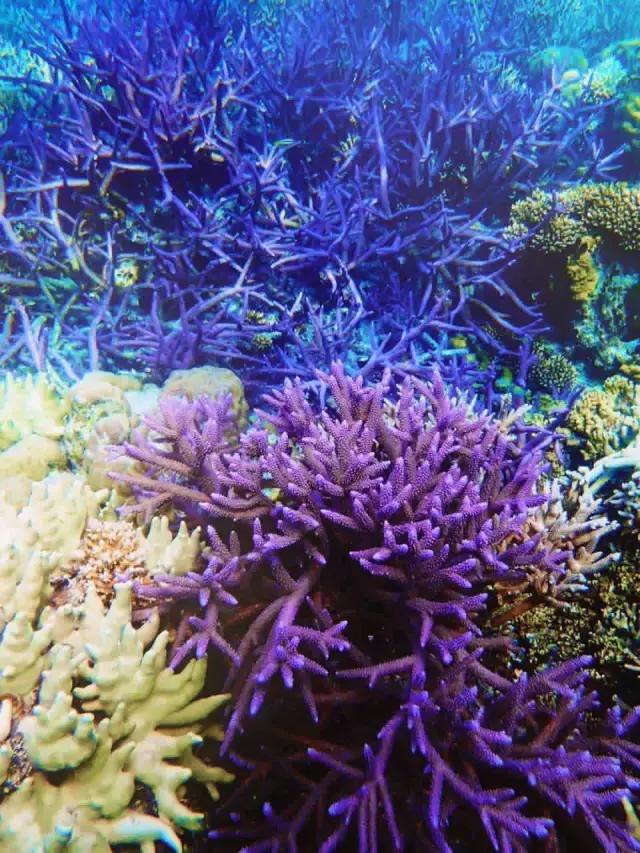 帕劳旅游攻略旅游视频,帕劳旅游攻略2018