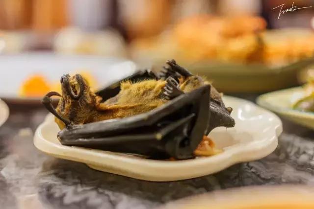 帕劳深度游出海,帕劳深潜体验