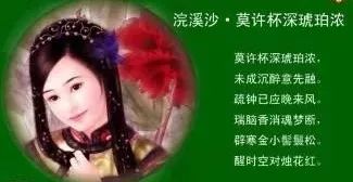 她借酒消愁：怎一个愁字了得；却醉词发问：知否？应是绿肥红瘦