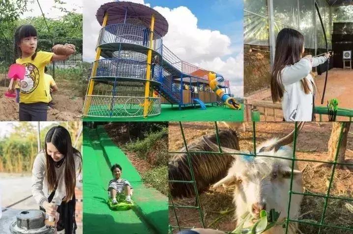 亲子游好去处!番禺周边的农家乐、游乐场、文化园…充实又好玩!
