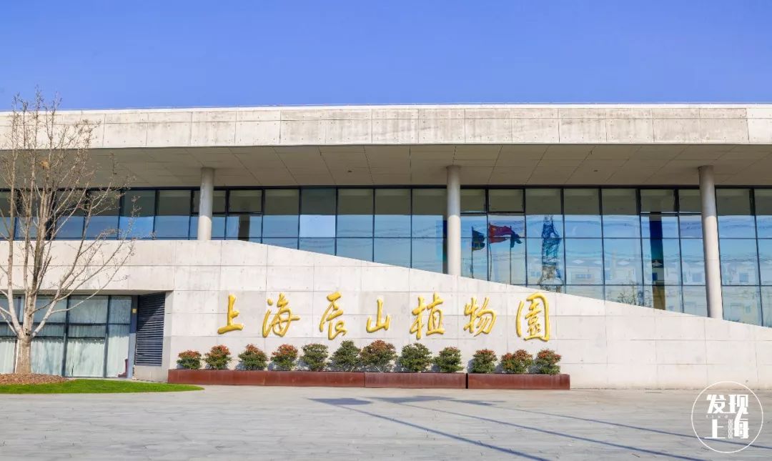 上海新年一定要去的地方,过年上海去哪玩好又便宜又好玩