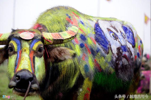 越南最重视的春节庙会，古代皇帝和现代国家元首都亲自下田干活