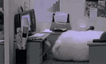 鍋囨湡寤堕暱缇庨,鎵撳崱娲涢槼杩欎簺缇庨鑰佸簵