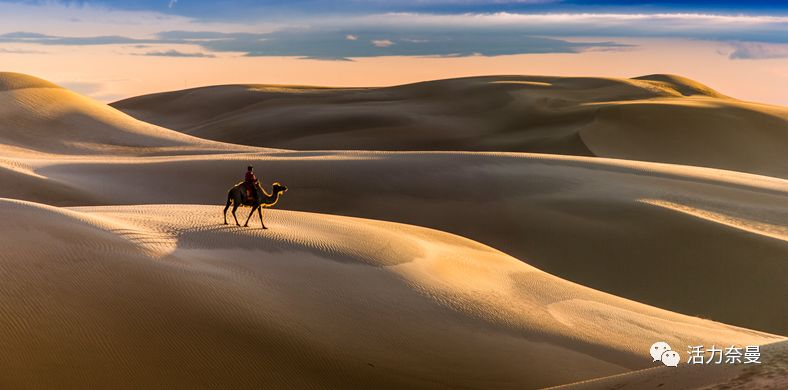 45万人的名片,太漂亮了!!《奈曼人的名片》最新版,45万次!!!精工打造!!!