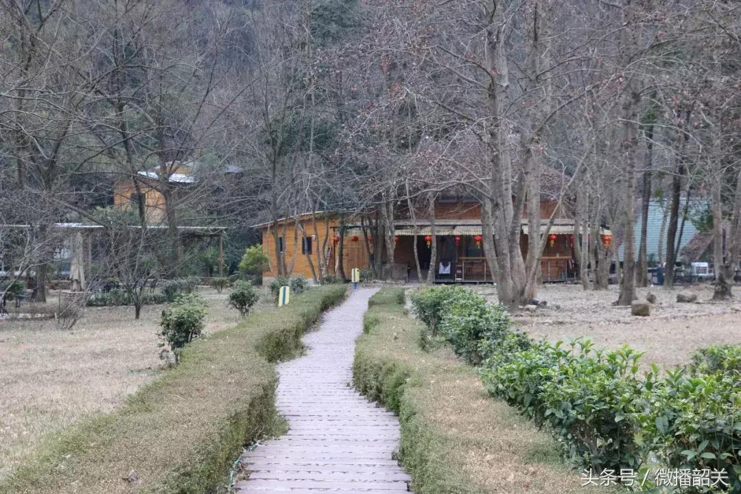 接招吧！开趴，其实还可以这Young过！