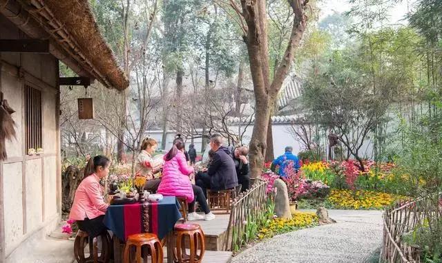 安逸，成都各区县的海棠花开了，周末带上家人或朋友踏春去哦