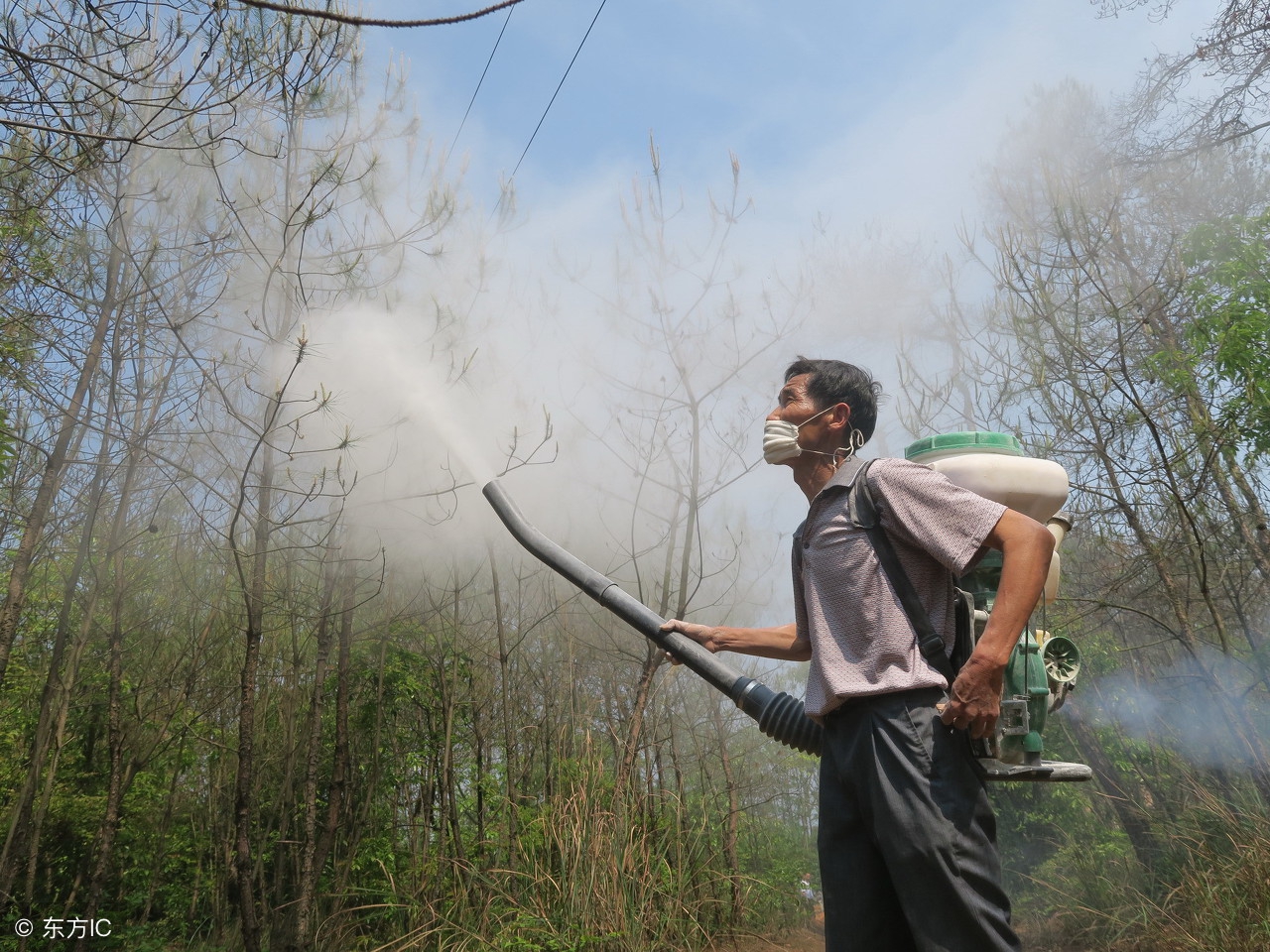 果树药害口诀及解决方法,果树产生药害有补救办法吗