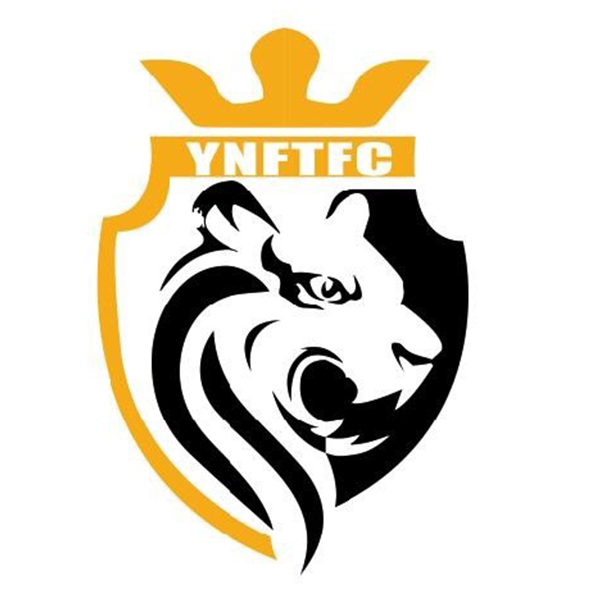 丽江飞虎足球队现状,云南飞虎足球队最新消息