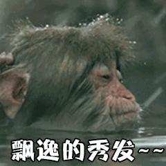 头发一摸一手油,本想摸一摸你的头发