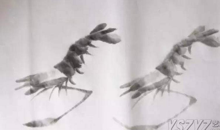 水墨大虾怎么画,水墨彩色大虾画