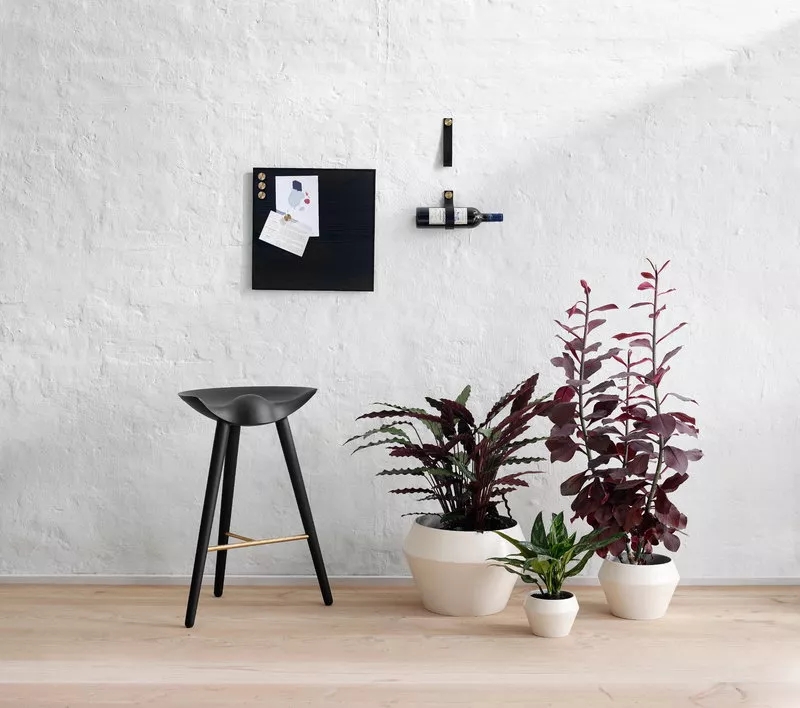 跟着“盐系”人设一起火了的,还有盐系家居