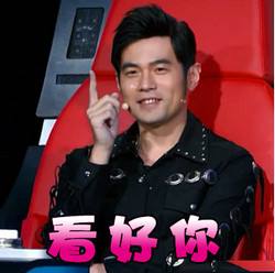 柳岩李小璐杨幂林志玲高圆圆张俪,林志玲高圆圆惊艳亮相