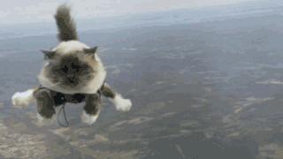 飞行员跳伞科普,跳伞降落科普