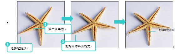 ps零基础入门到精通之选区运用,ps选区基础操作教程