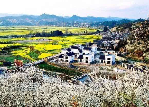 赏花小众景点,发现一处绝美赏花打卡地