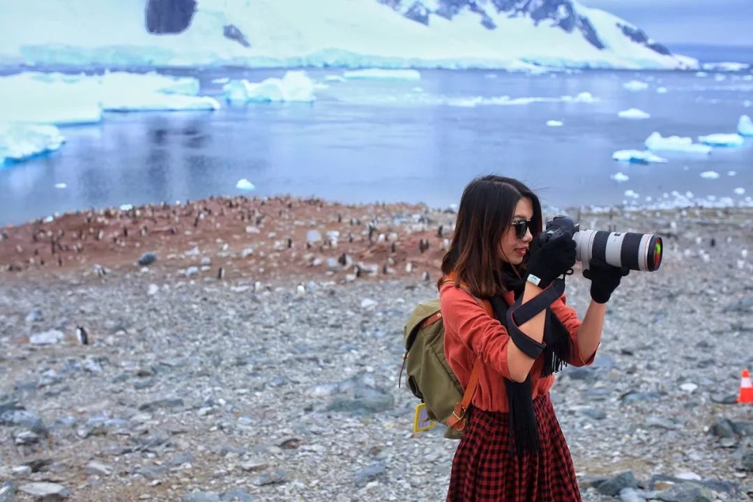 跟着南极科考队旅行,南极之恋细思极恐的地方