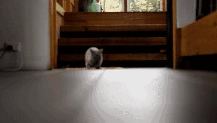 澳洲签证体检后多久签证可以获批,澳洲820签证转801签证需要多久