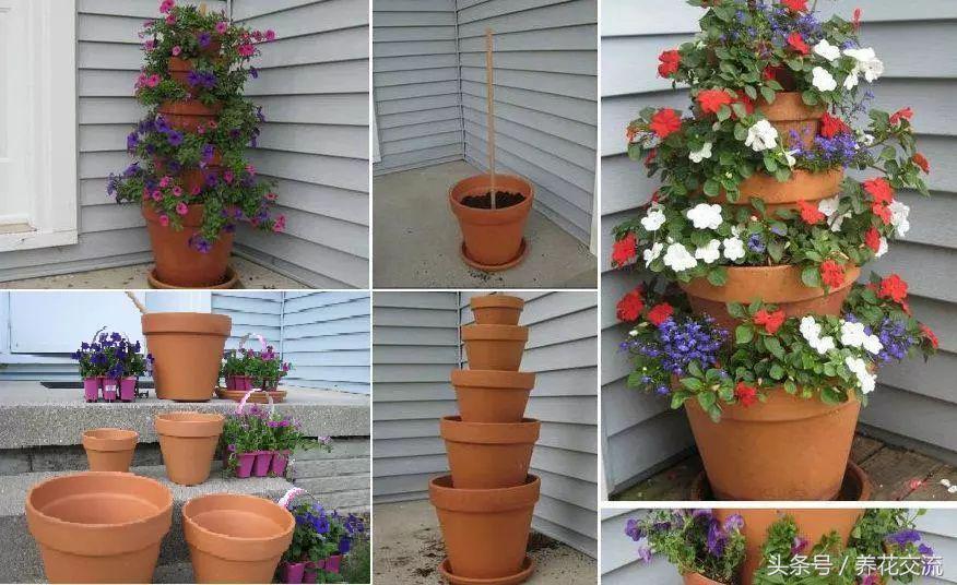 100种庭院创意花卉,适合家庭养的花卉植物
