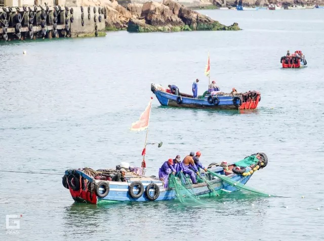 现实中的绿野仙踪,现实中真实版绿野仙踪