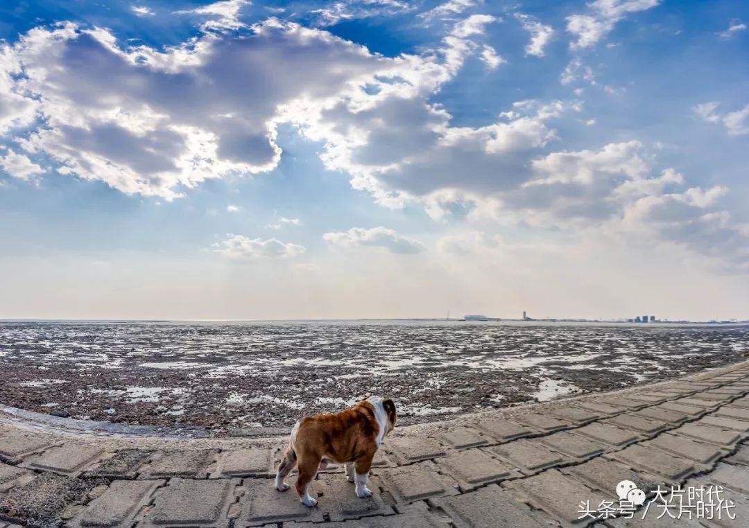 美丽中国摄影片段,38集美丽中国