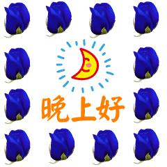 最美的晚安祝福短信,温馨的晚安问候语