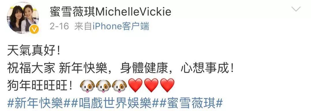 解散的二人女子组合,2017年解散的组合