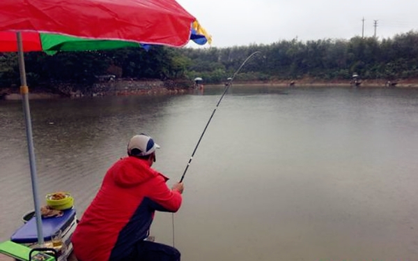 鲤鱼打窝的正确打法,钓鲤鱼用什么打窝上鱼快