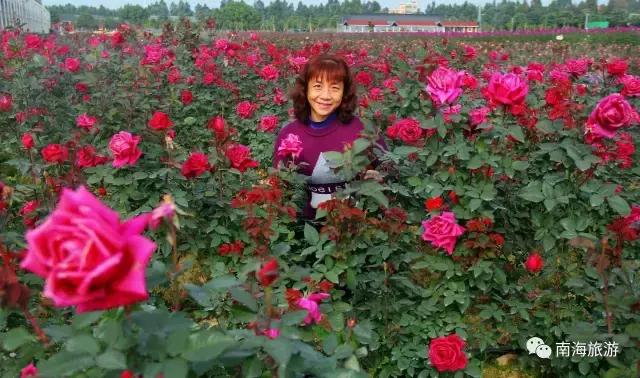 tvb最新美食,以前央视播出过的美食节目有哪些