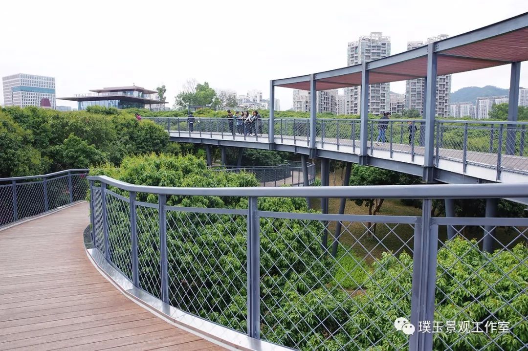 深圳香蜜公园航拍视频,香蜜湖香蜜公园