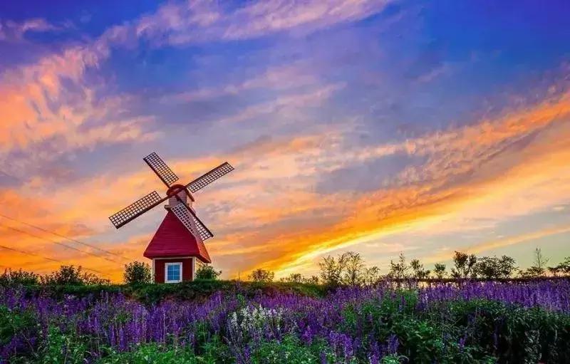 鹿泉旅游发展大会,石家庄2024年旅游发展大会