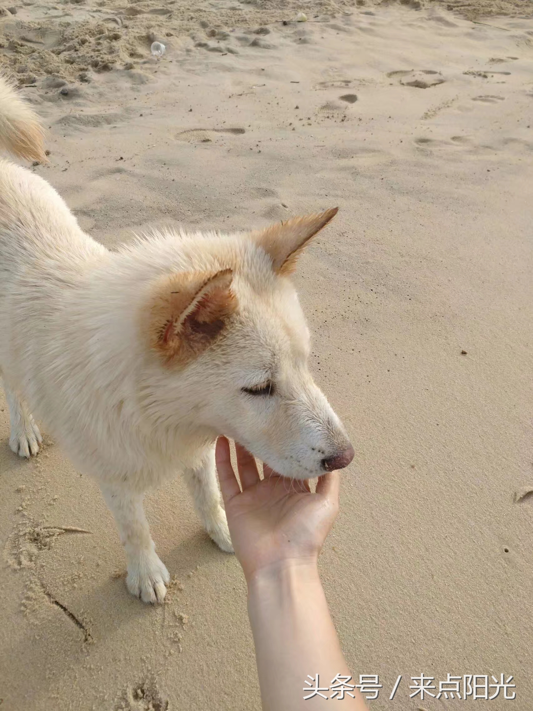 世界很大我很小完整版,江门台山浪琴湾基地