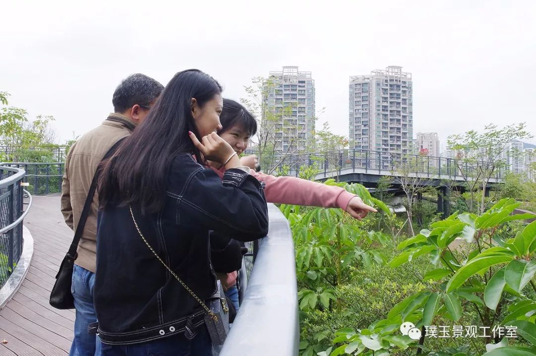深圳香蜜公园航拍视频,香蜜湖香蜜公园